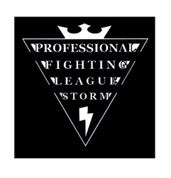 Свідоцтво торговельну марку № 337770 (заявка m202124812): professional; fighting; league; storm