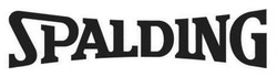 Заявка на торговельну марку № m202516165: spalding