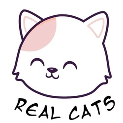 Свідоцтво торговельну марку № 325869 (заявка m202027301): real cats