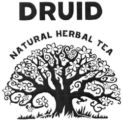 Свідоцтво торговельну марку № 241701 (заявка m201622415): druid; natural herbal tea