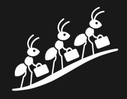 Заявка на торговельну марку № m202508167