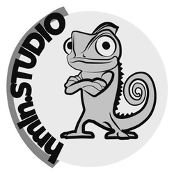 Заявка на торговельну марку № m202514339: hmin.studio