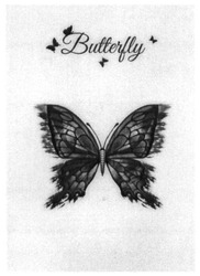 Свідоцтво торговельну марку № 290310 (заявка m201823102): butterfly
