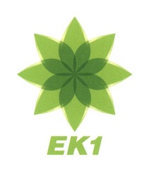 Свідоцтво торговельну марку № 278283 (заявка m201811758): ek1; ек1