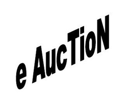 Свідоцтво торговельну марку № 217261 (заявка m201605134): e auction