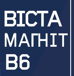 Свідоцтво торговельну марку № 319306 (заявка m202117123): b6; bicta; віста магніт в6