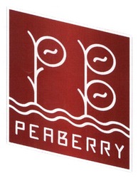 Заявка на торговельну марку № m202503681: peaberry