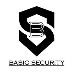 Свідоцтво торговельну марку № 313715 (заявка m202009394): basic security; sb; bs