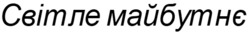 Заявка на торговельну марку № m202520894: світле майбутнє