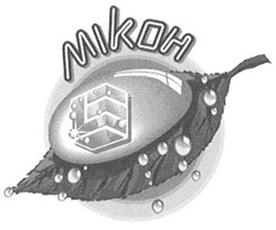 Свідоцтво торговельну марку № 35560 (заявка 2001127867): мікон; mikoh