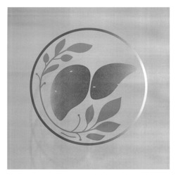 Заявка на торговельну марку № m202507118