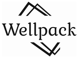 Заявка на торговельну марку № m202417157: wellpack