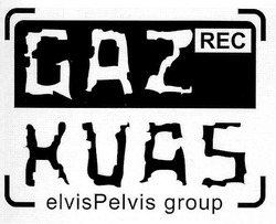 Свідоцтво торговельну марку № 72042 (заявка m200501178): gaz; kvas; kuas; elvis pelvis group