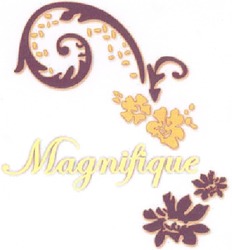 Заявка на торговельну марку № m200820020: magnifique