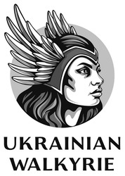 Заявка на торговельну марку № m202314721: ukrainian walkyrie