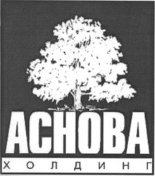 Заявка на торговельну марку № 2003088735: аснова; холдинг; achoba