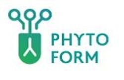 Свідоцтво торговельну марку № 313989 (заявка m202002017): phyto form