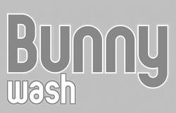 Заявка на торговельну марку № m202413510: bunny wash