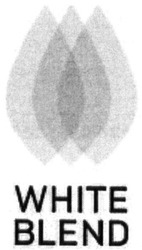 Свідоцтво торговельну марку № 314466 (заявка m201933123): white blend