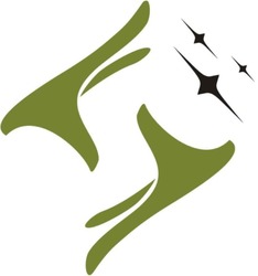 Заявка на торговельну марку № m202516672