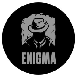 Заявка на торговельну марку № m202511357: enigma
