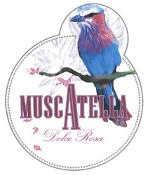 Свідоцтво торговельну марку № 224152 (заявка m201511557): muscatella; dolce rosa