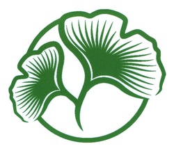 Заявка на торговельну марку № m202419771