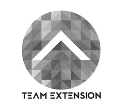 Свідоцтво торговельну марку № 289120 (заявка m201820014): team extension; теам; телм