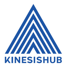 Заявка на торговельну марку № m202515481: kinesishub