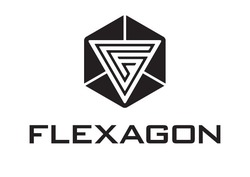 Свідоцтво торговельну марку № 305566 (заявка m201925807): fg; flexagon