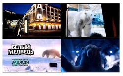 Заявка на торговельну марку № m201910852: белый медведь; справжні друзі завжди повертаються!