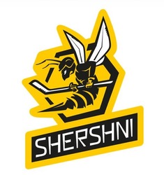 Заявка на торговельну марку № m202609368: shershni