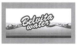 Заявка на торговельну марку № m202318022: belvita water