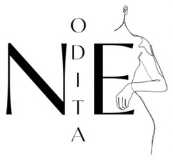 Заявка на торговельну марку № m202509836: ne odita