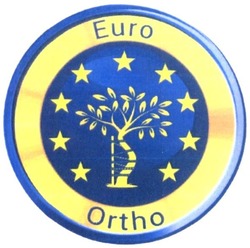 Свідоцтво торговельну марку № 287573 (заявка m201829427): euro ortho