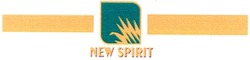 Заявка на торговельну марку № m200610113: new spirit
