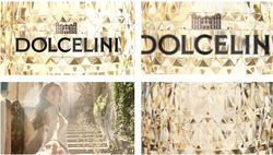 Заявка на торговельну марку № m202412087: dolcelini