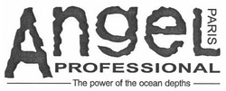 Свідоцтво торговельну марку № 140479 (заявка m201005113): angel; paris; professional; the power of the ocean depths