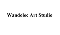 Свідоцтво торговельну марку № 344851 (заявка m202206014): wandolec art studio