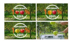 Заявка на торговельну марку № m202515092: врожай 100% 2025