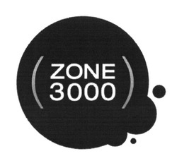 Свідоцтво торговельну марку № 222566 (заявка m201620407): zone 3000