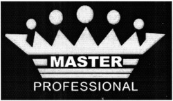 Свідоцтво торговельну марку № 205134 (заявка m201407993): master professional