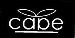 Свідоцтво торговельну марку № 16918 (заявка 96102273): cape; саре