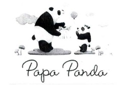 Свідоцтво торговельну марку № 326389 (заявка m202013391): papa panda; рара