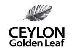 Заявка на торговельну марку № m202508952: ceylon golden leaf