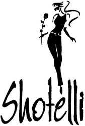 Заявка на торговельну марку № m200601889: shotelli