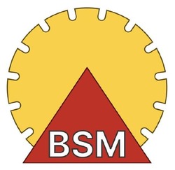 Заявка на торговельну марку № m202503947: bsm