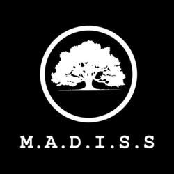 Свідоцтво торговельну марку № 347124 (заявка m202211912): madiss; m.a.d.i.s.s