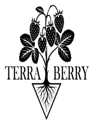 Заявка на торговельну марку № m202609952: terra berry