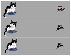 Заявка на торговельну марку № m202517357: felix; purina